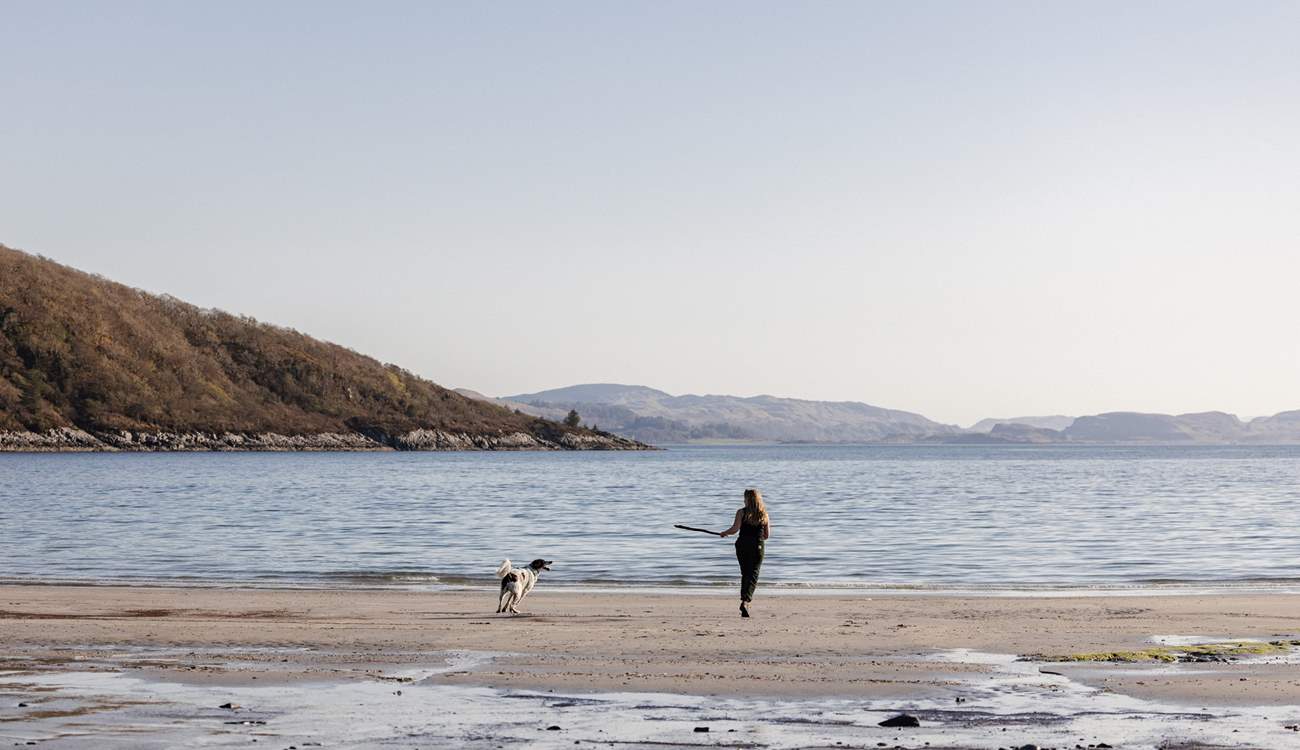 You have access to your own private beach where your four-legged friend can run freely. 