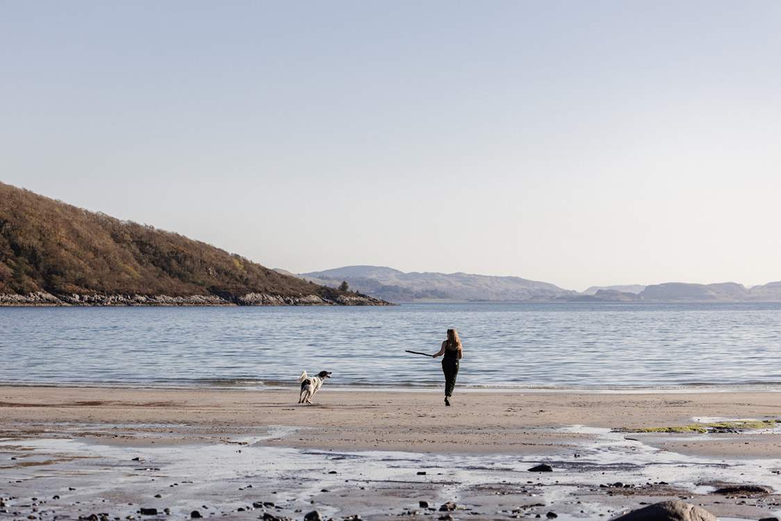 You have access to your own private beach where your four-legged friend can run freely.