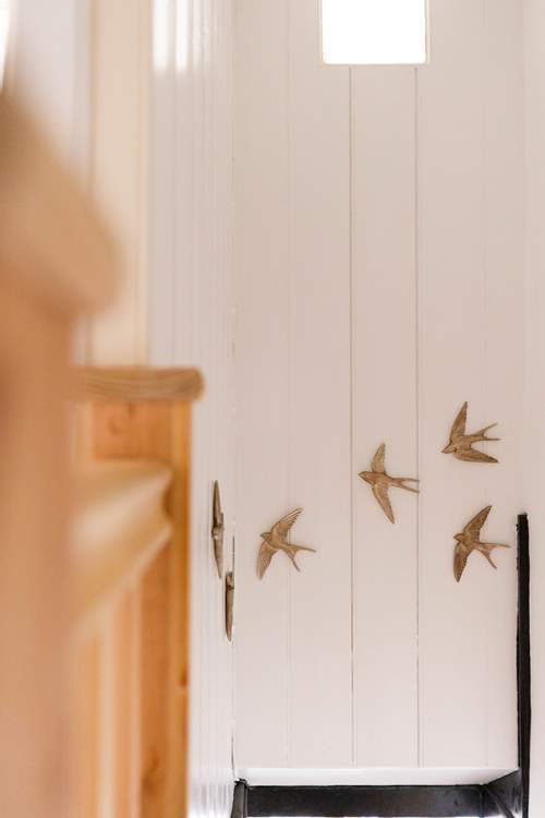 Watch the swallows surround the cottage, summer is on its way.