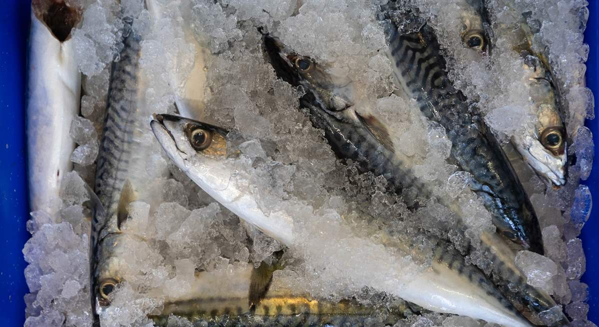 Buy the freshest of fish, head back to the cottage for a simple dish of the day.