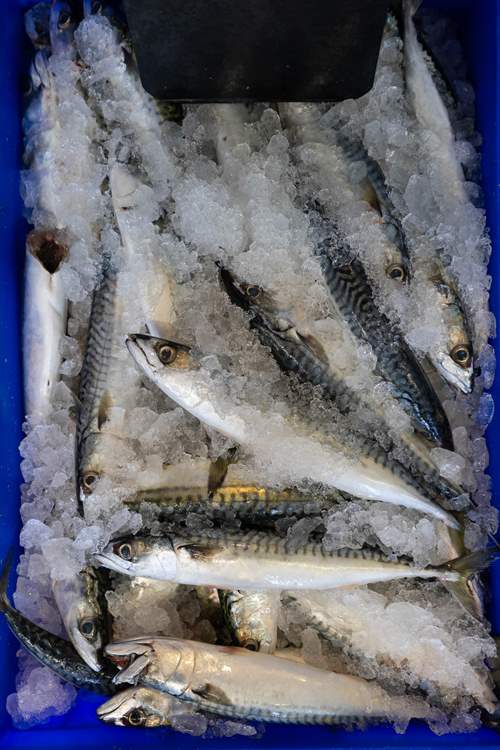 Buy the freshest of fish, head back to the cottage for a simple dish of the day.