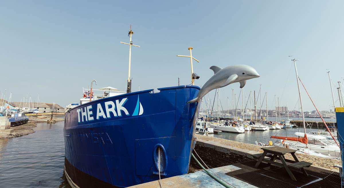 Flipper the resident dolphin resides at the front of The Ark.