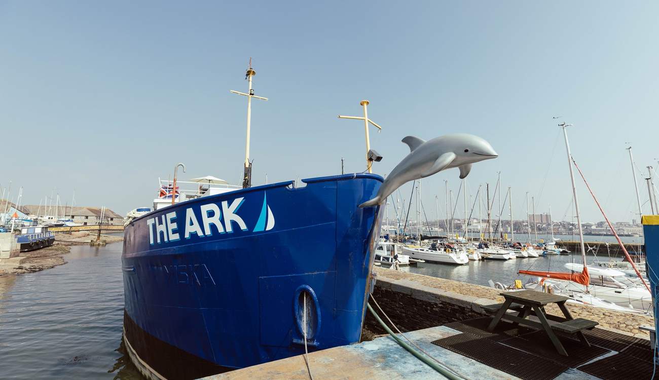 Flipper the resident dolphin resides at the front of The Ark.