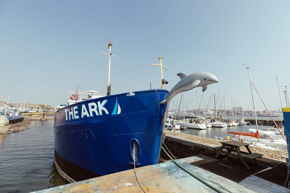 Flipper the resident dolphin resides at the front of The Ark.
