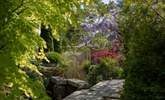 Beautiful gardens to explore. - Thumbnail Image