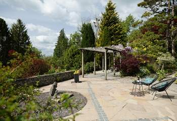 View from the patio.