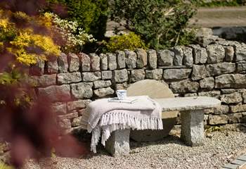 A rustic bench for a quiet moment.