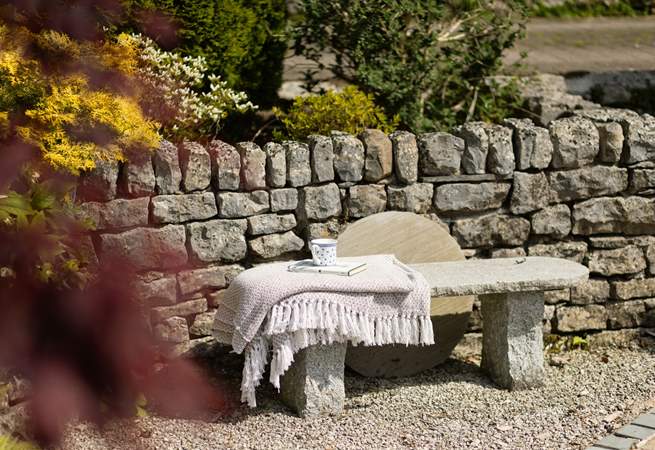 A rustic bench for a quiet moment.