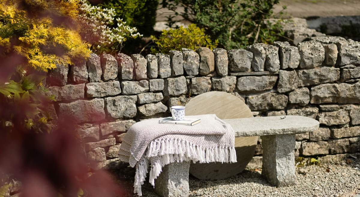 A rustic bench for a quiet moment.