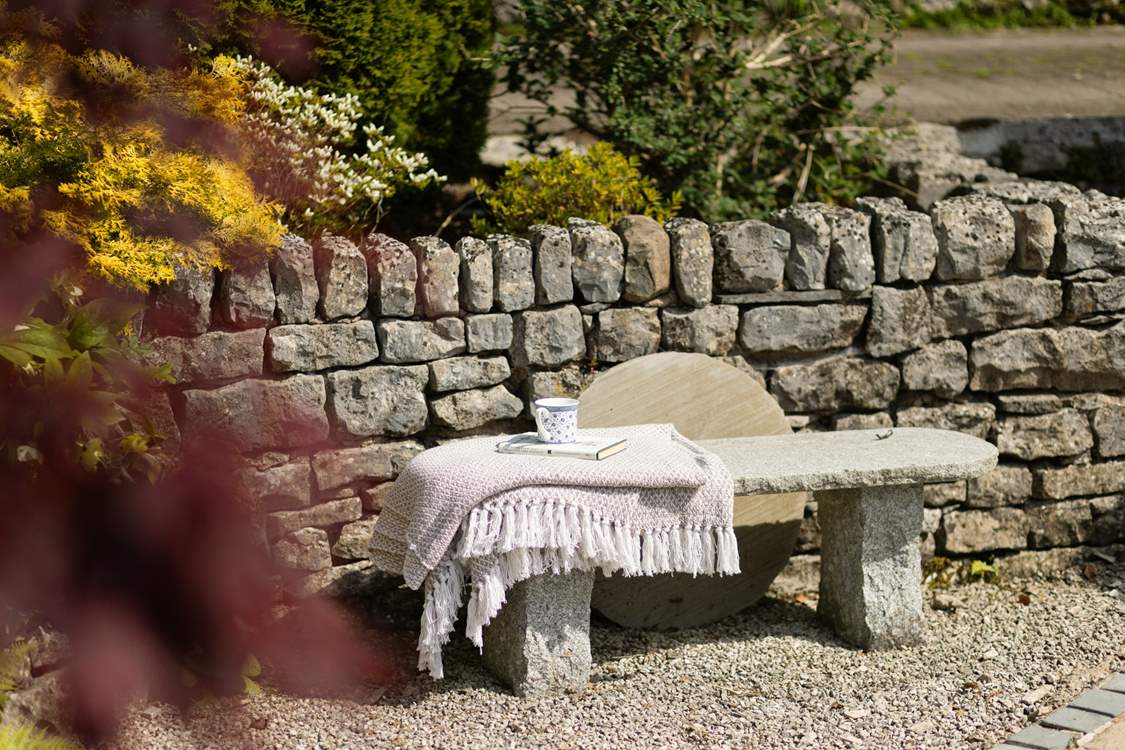 A rustic bench for a quiet moment.