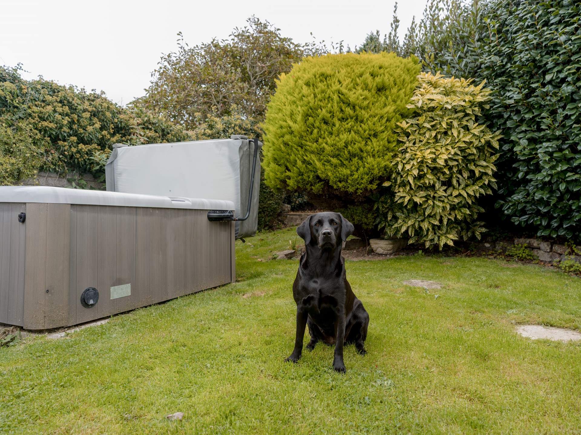 Your four-legged friends are most welcome.