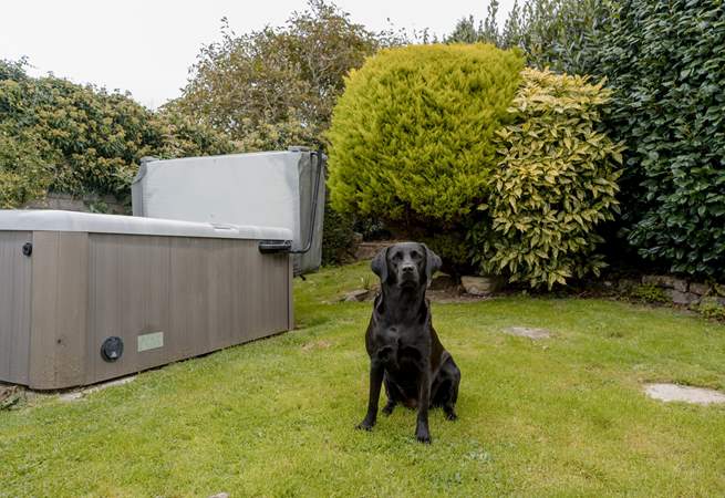 Your four-legged friends are most welcome.