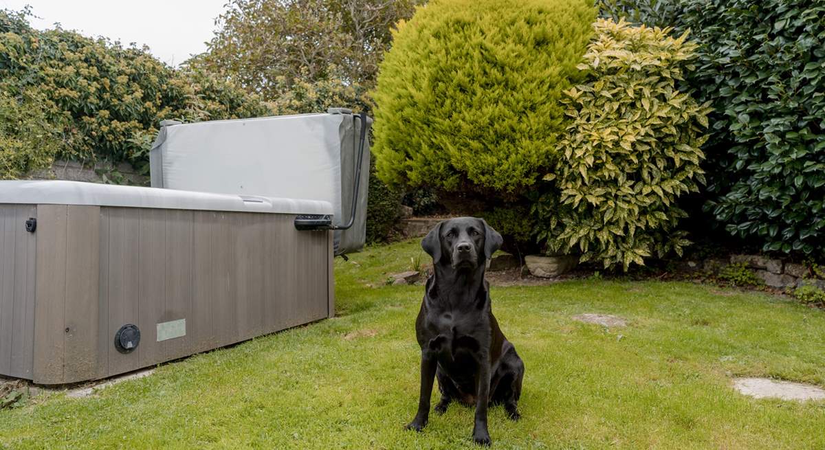 Your four-legged friends are most welcome.