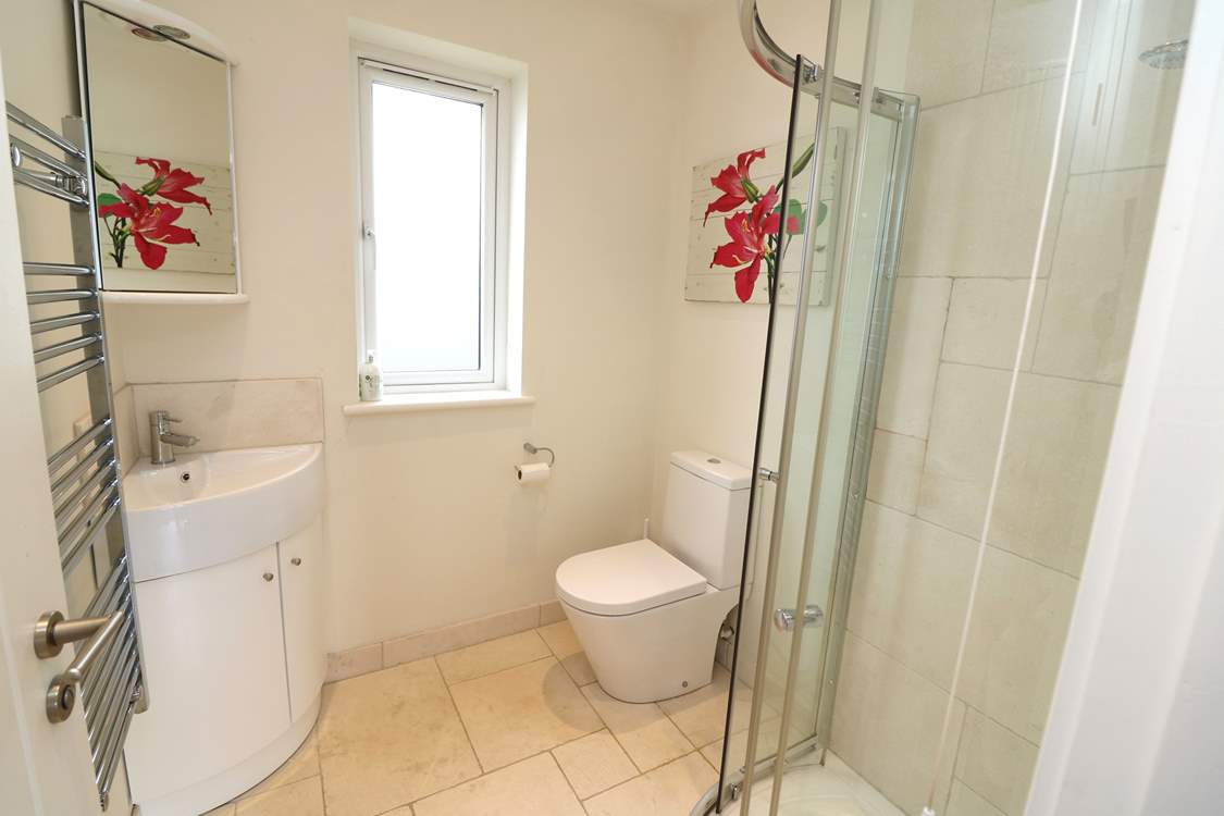The handy en suite shower-room.