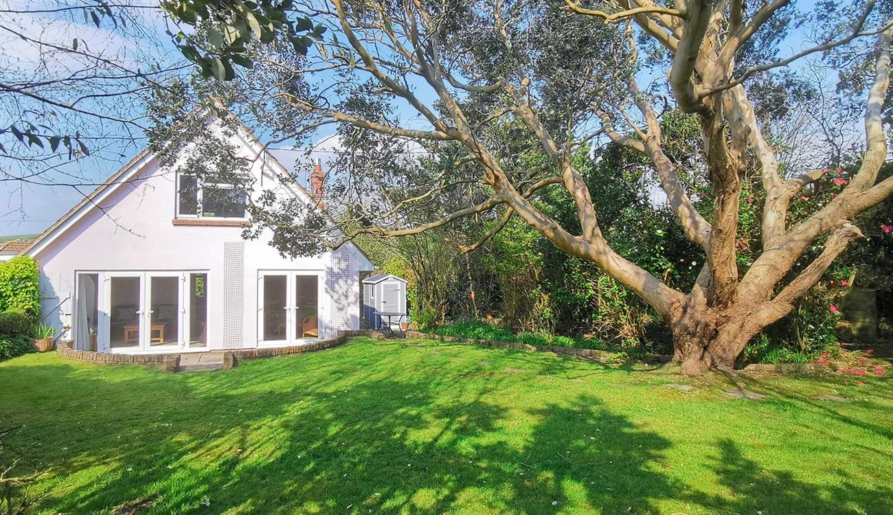 Welcome to Summer Shores. 