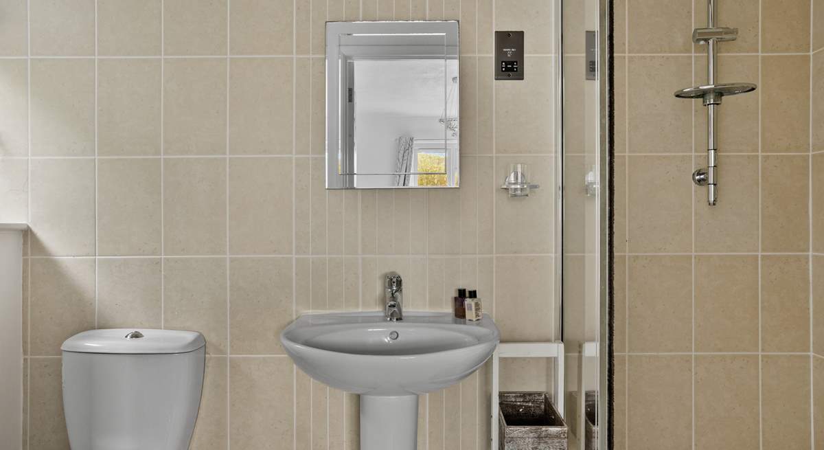 The en suite shower-room.