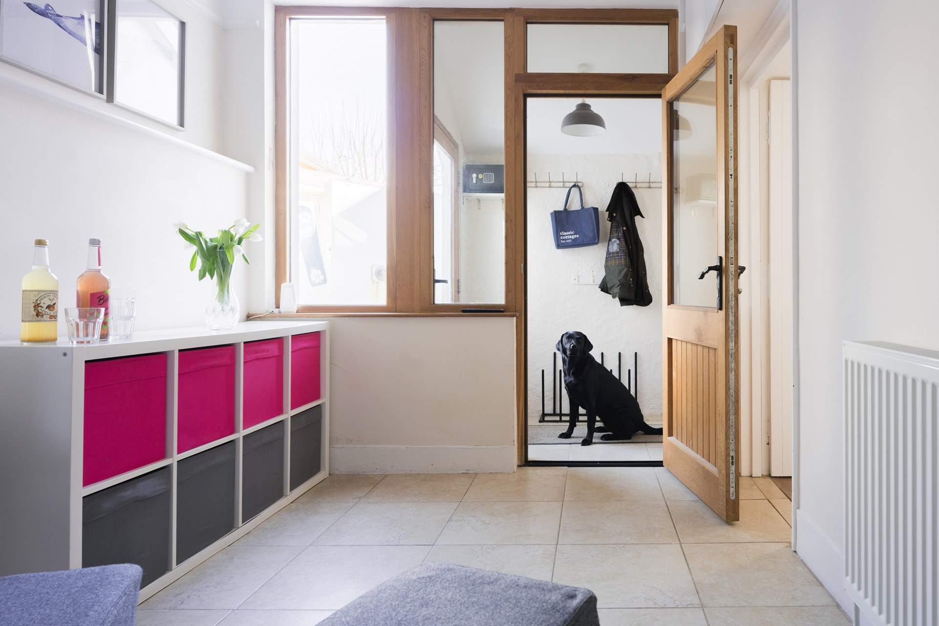 Time for a morning walk.