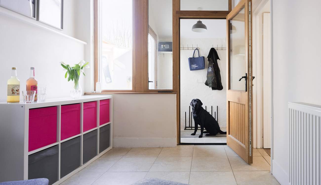 Time for a morning walk.