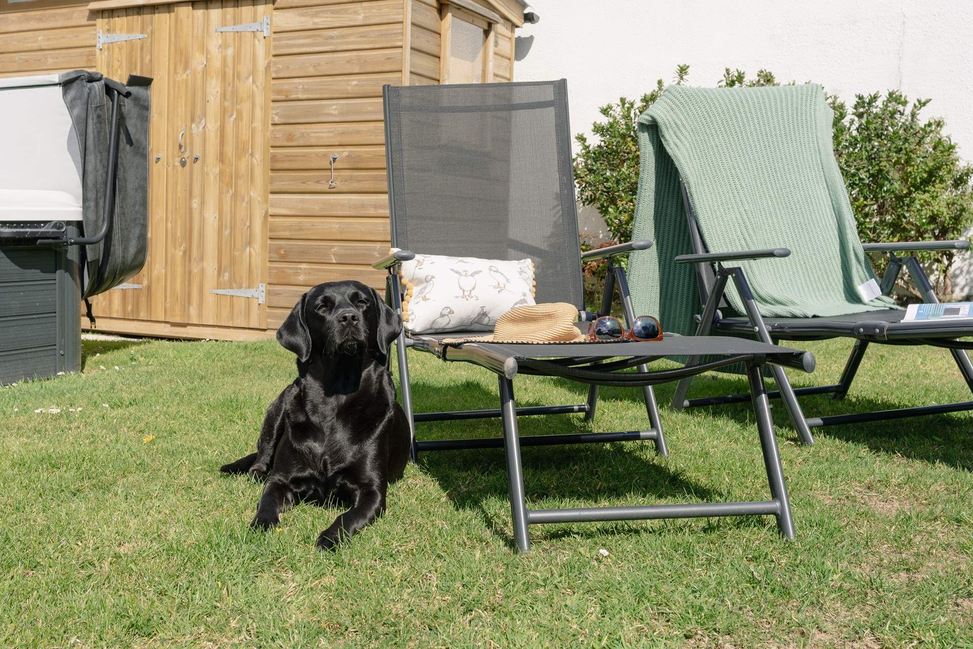 The family dog will also love being at Sands End.