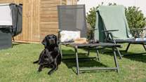 The family dog will also love being at Sands End.