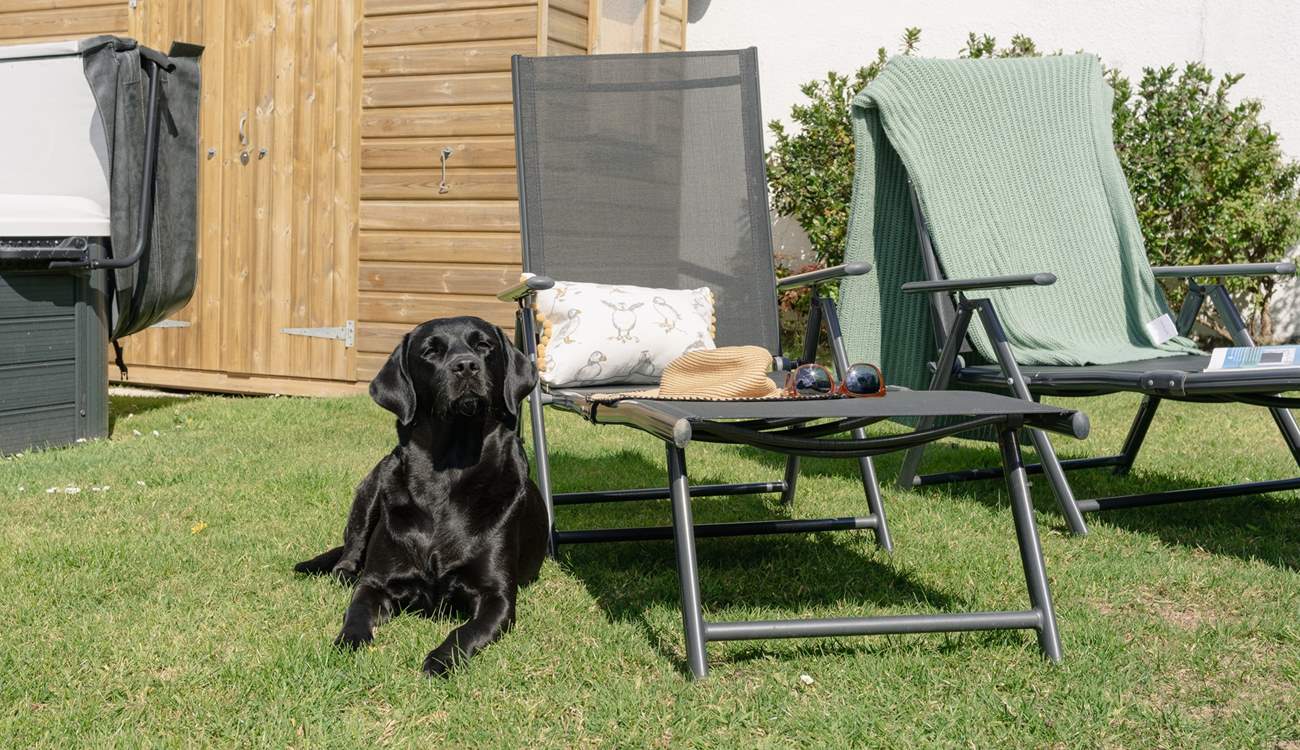 The family dog will also love being at Sands End.