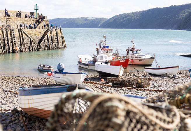 Visit the pretty village of Clovelly.