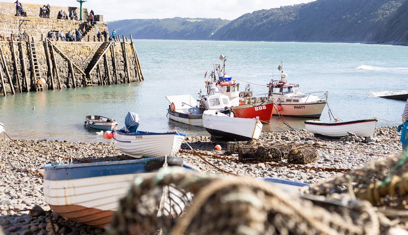 Visit the pretty village of Clovelly.