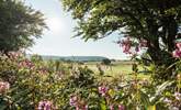 Spend a day in Hartland. - Thumbnail Image