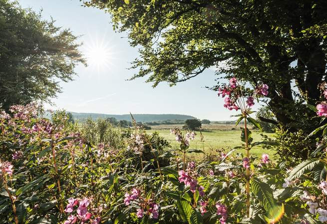 Spend a day in Hartland.