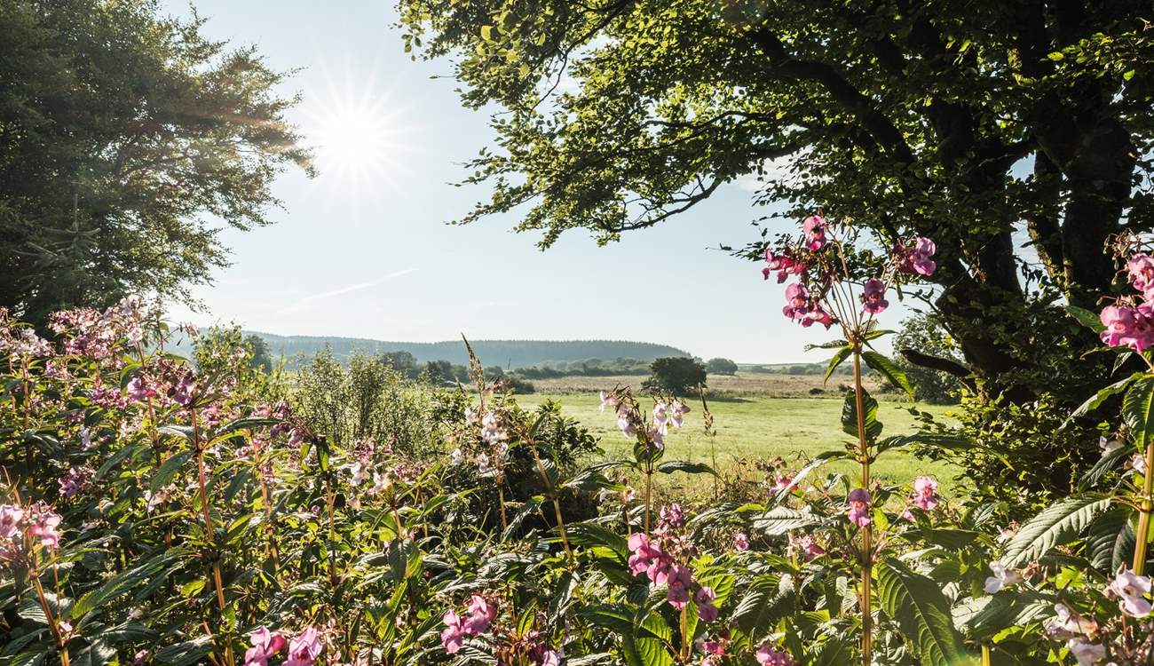 Spend a day in Hartland.