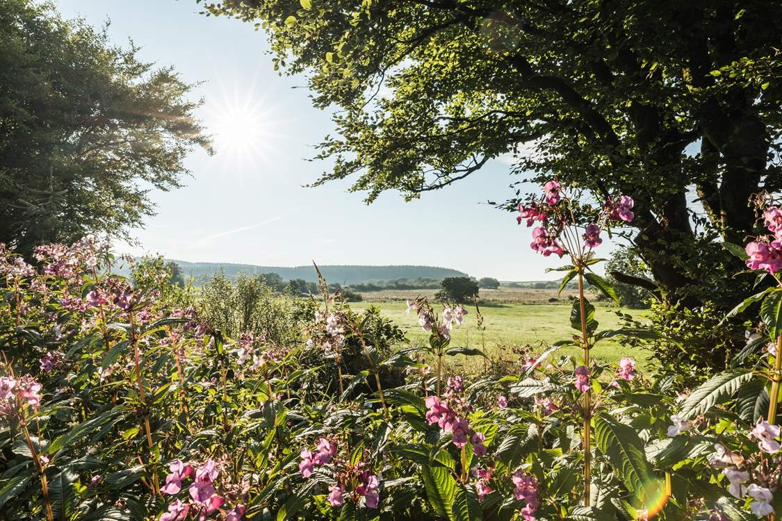 Spend a day in Hartland.