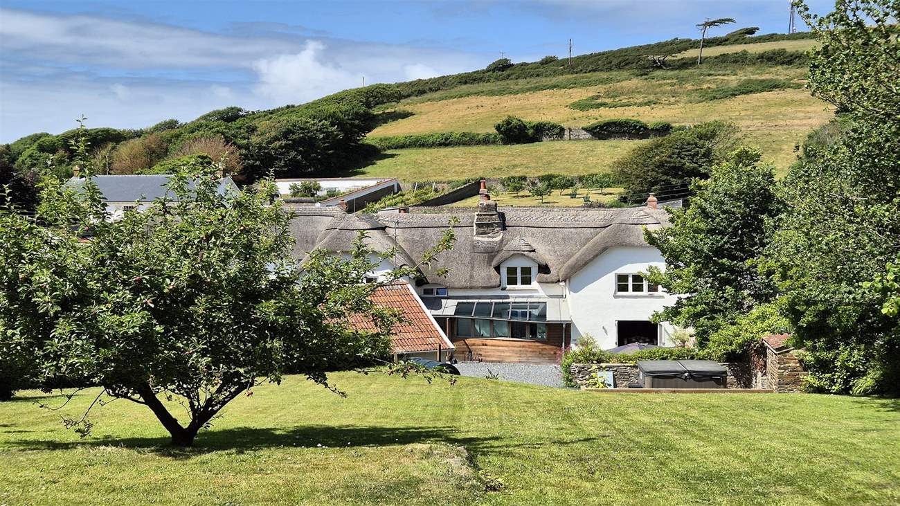 Looking towards the cottage from the lawn.