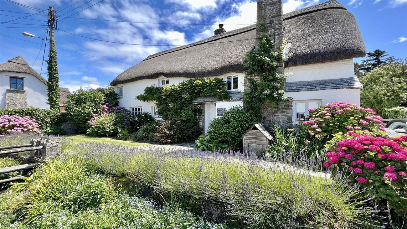 Welcome to Sweets Cottage, the most adorable cottage in Croyde.