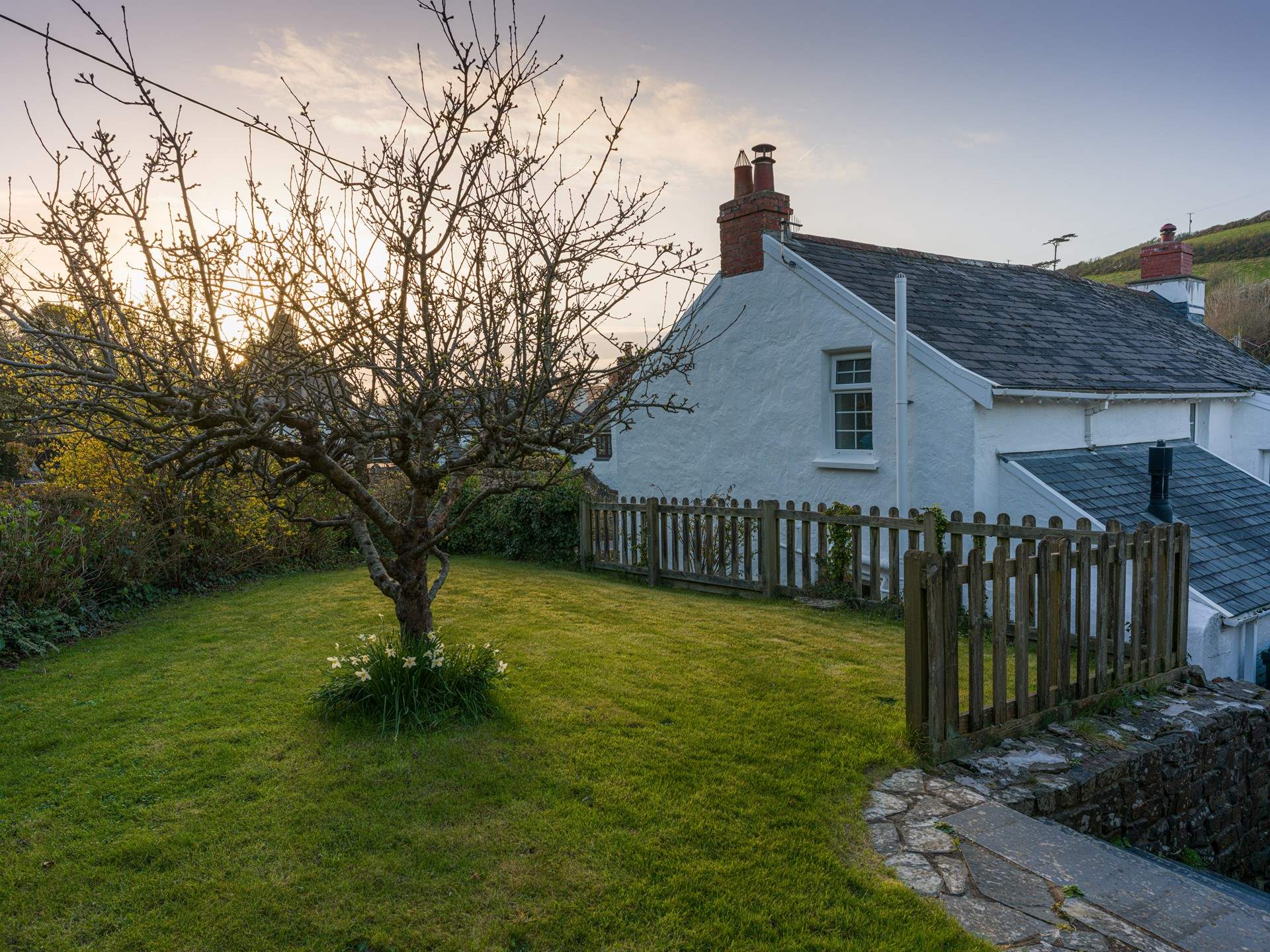 As well as the front lawn you also have the side garden.