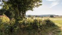 There's so many lovely walks to discover - this is Hartland.