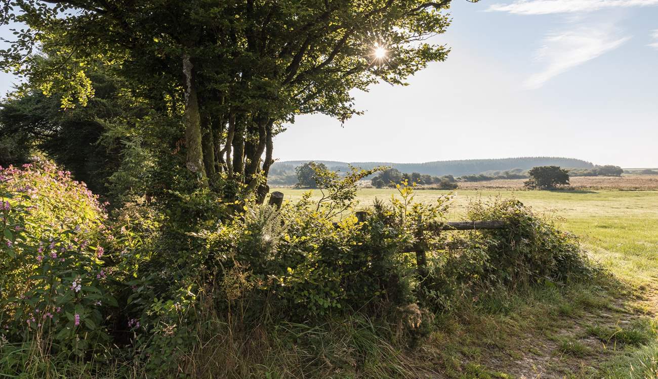 There's so many lovely walks to discover - this is Hartland.