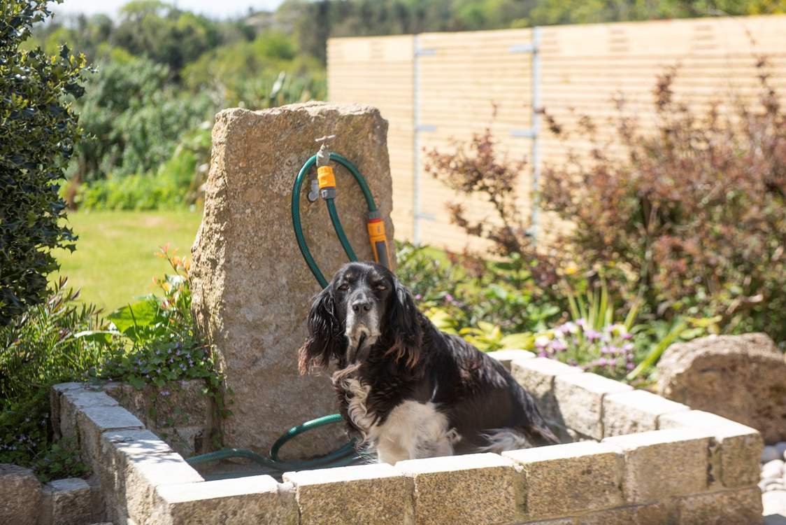 Your canine companion is welcome to join your adventure and will have their own personal outdoor shower!