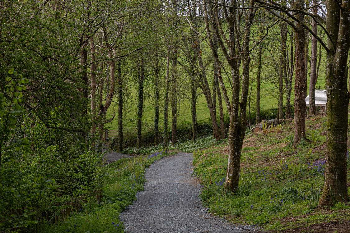 Take a woodland walk and see what wildlife you can spot. You may even see a Wooda pixie along the way!