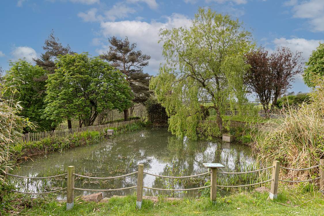 Head off on one of the walks and discover gorgeous woodlands, lakes and freedom to play and explore with the family.