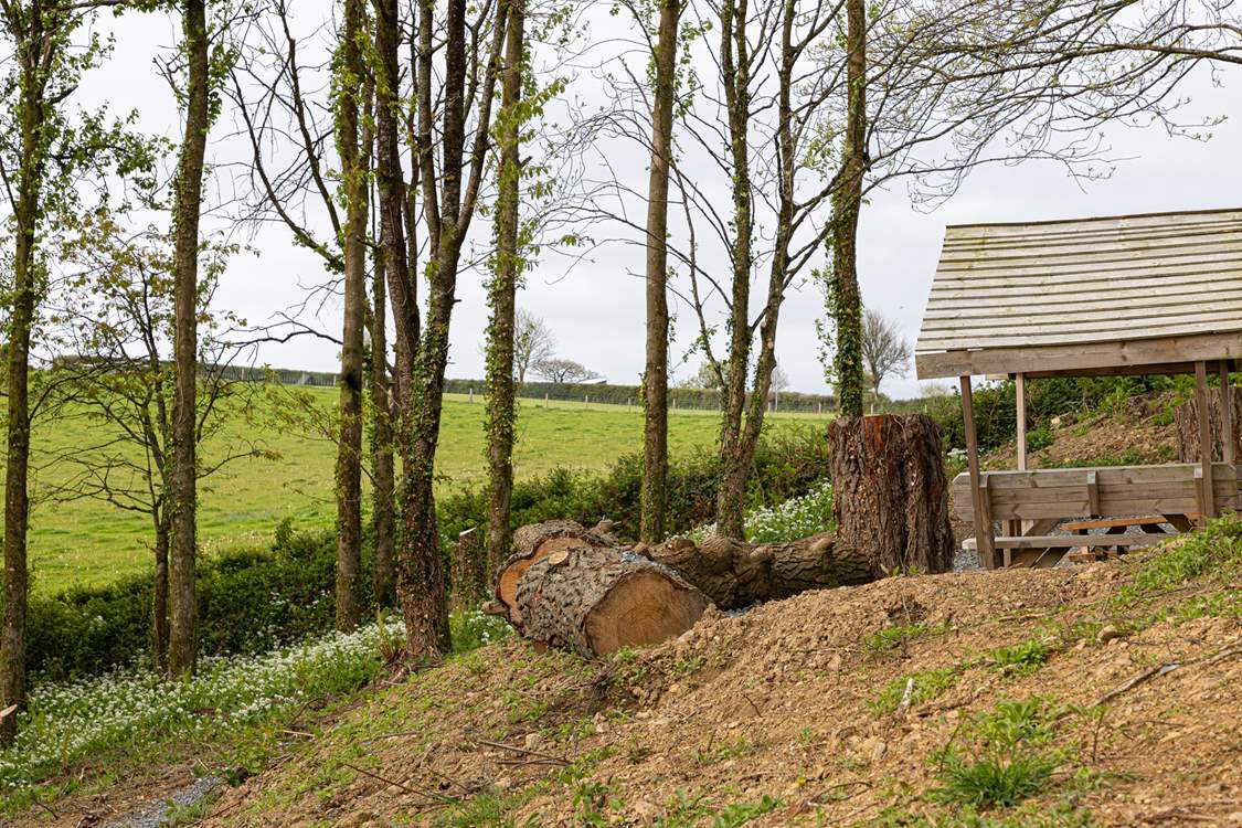 The perfect spot for a woodland picnic - simply follow the walking map.