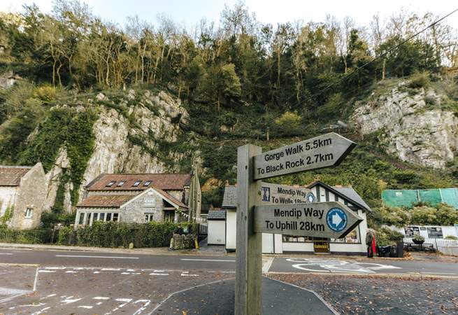 Perfect for a day of exploring. 