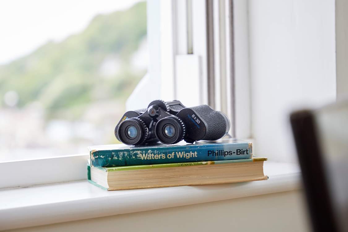 It's easy to lose track of time while watching sea life go by on the English Channel.