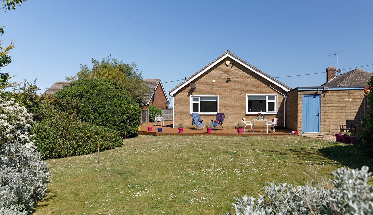 The south-facing garden with mature shrubs.