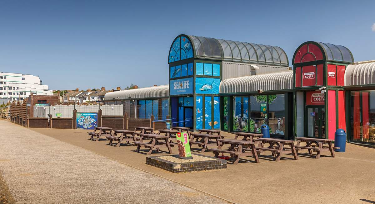 Youngsters can enjoy a trip to the popular Sea Life Centre.
