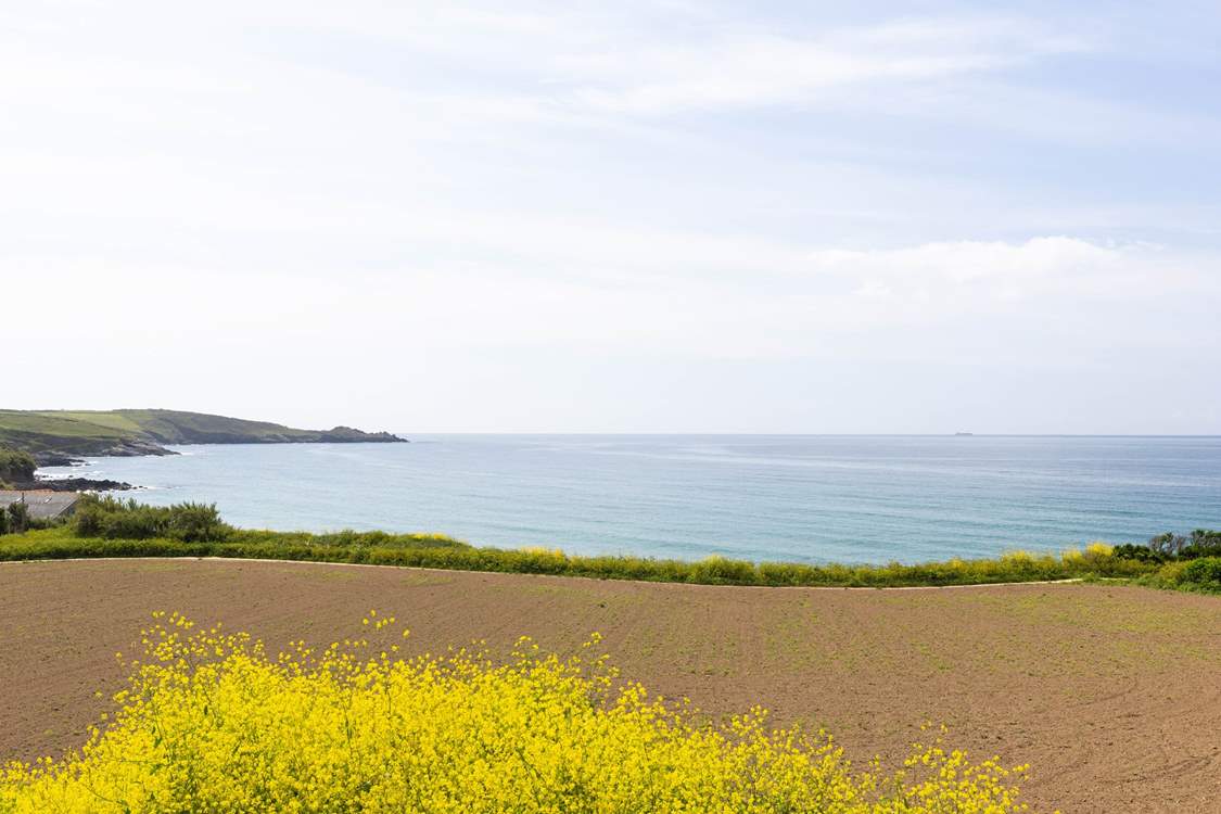 The view from the terrace.