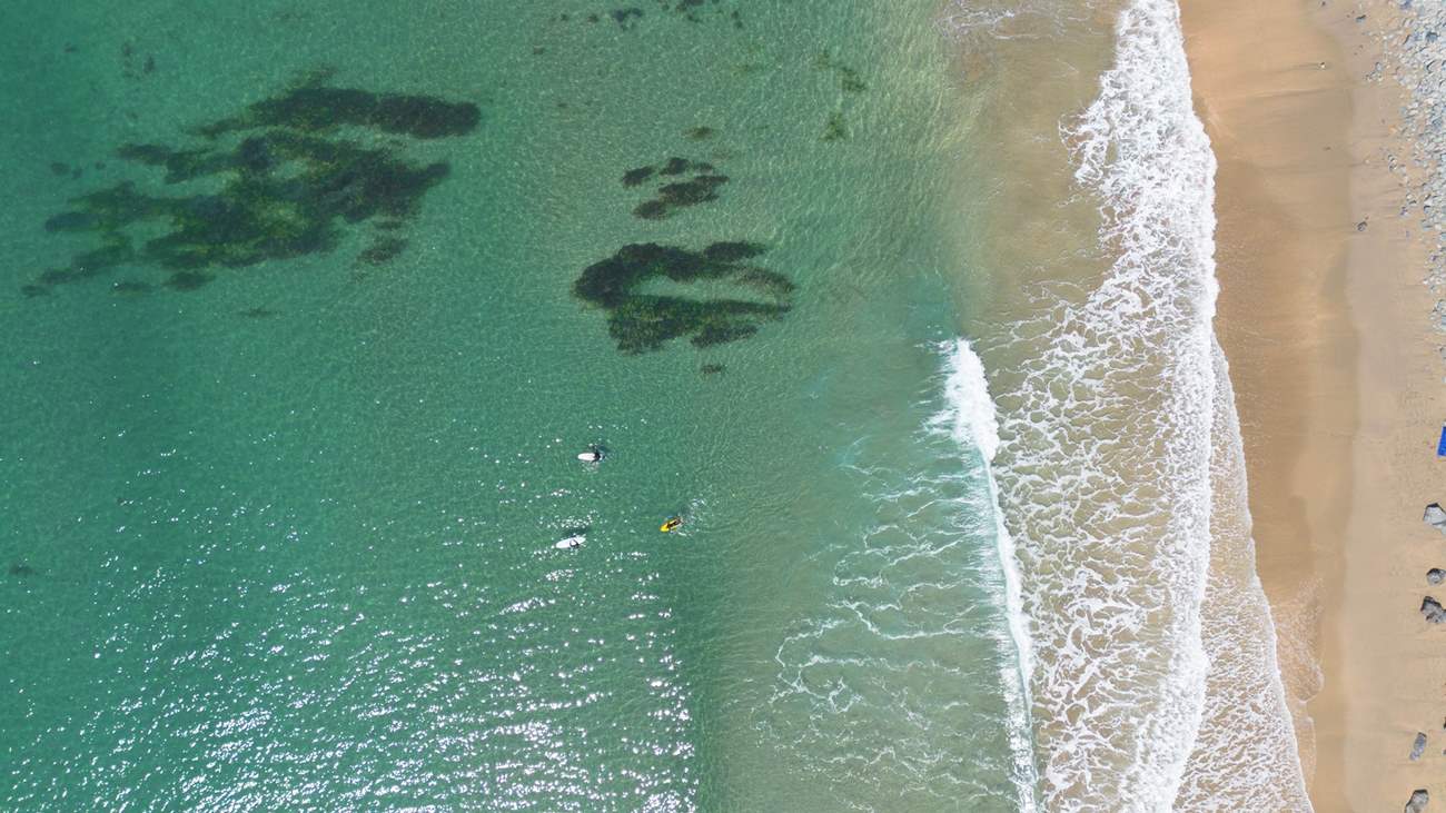 Book your surf lessons and roll with the waves.