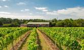 For wine lovers, visit the nearby Bolney Estate Vineyard.  - Thumbnail Image