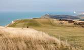 The South Downs National Park is under 30 minutes away and is the perfect spot for dog walking.  - Thumbnail Image