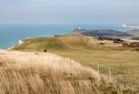The South Downs National Park is under 30 minutes away and is the perfect spot for dog walking. 
