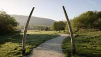Onny Meadows at the Shropshire Hills Discovery Centre and the replica mammoth Tusks referencing the exhibit at the centre. 